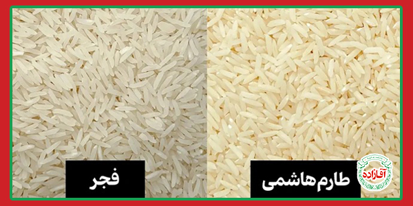 تفاوت برنج فجر با هاشمی