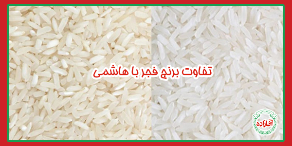 تفاوت برنج فجر با هاشمی